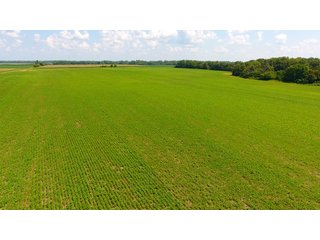 Property photo 2 - FARMLAND AUCTION - 240+/- ACRES IN 3 TRACTS IN JEFFERSON COUNTY, ILLINOIS